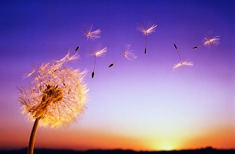 Не просто мечтай! Действуй!