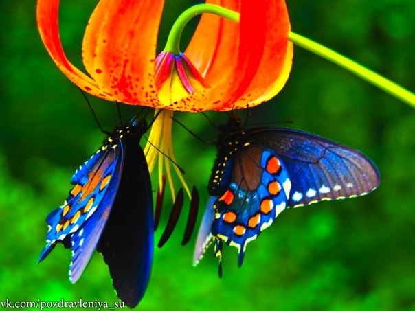 Хочется лета...