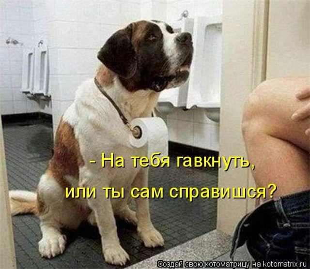 Бессменный часовой