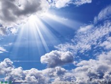 Я попрошу...