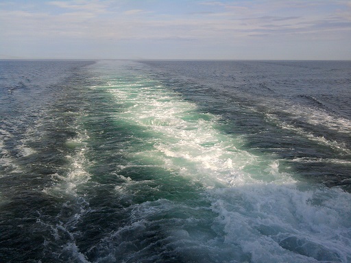 Жизнь идет, жизнь течет