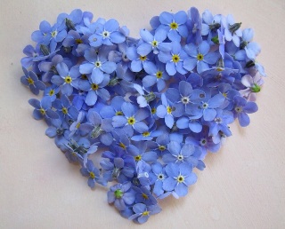 Незабудки на твоём окне