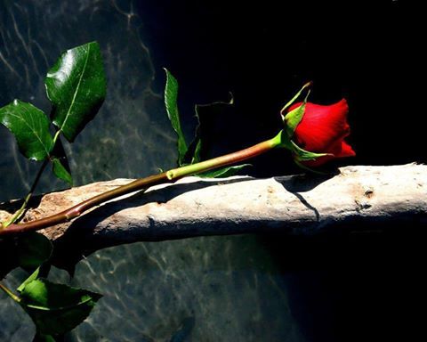 Давай с тобой поговорим...