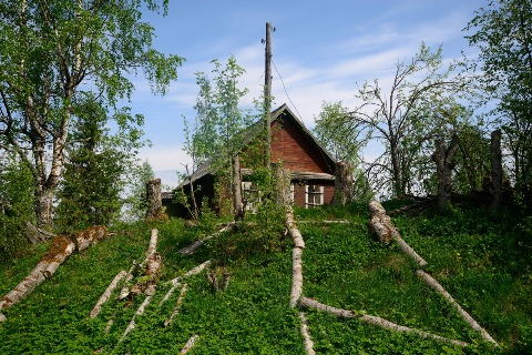 Старый стих