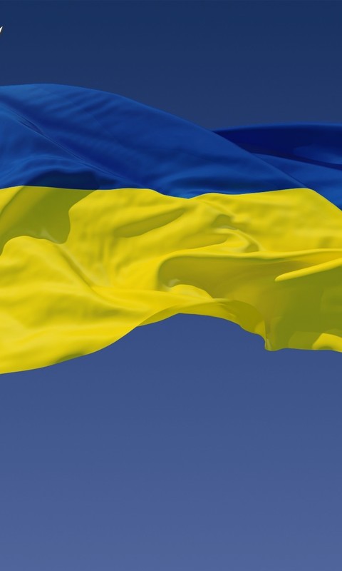 Флаг Родины снится