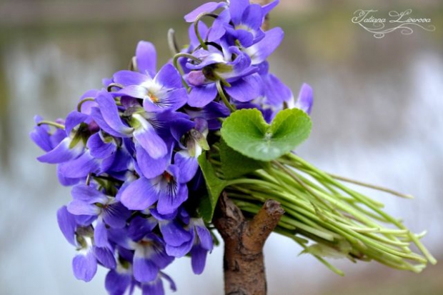 Мне захотелось счастья немножко