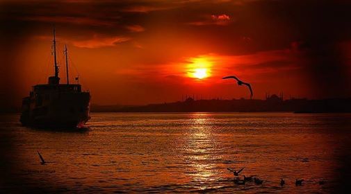 Летела чайка...