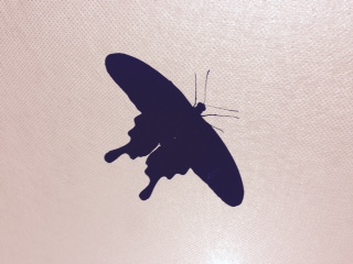 Черное на белом