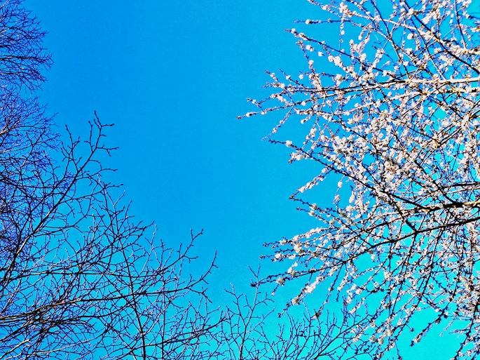 Когда-нибудь...