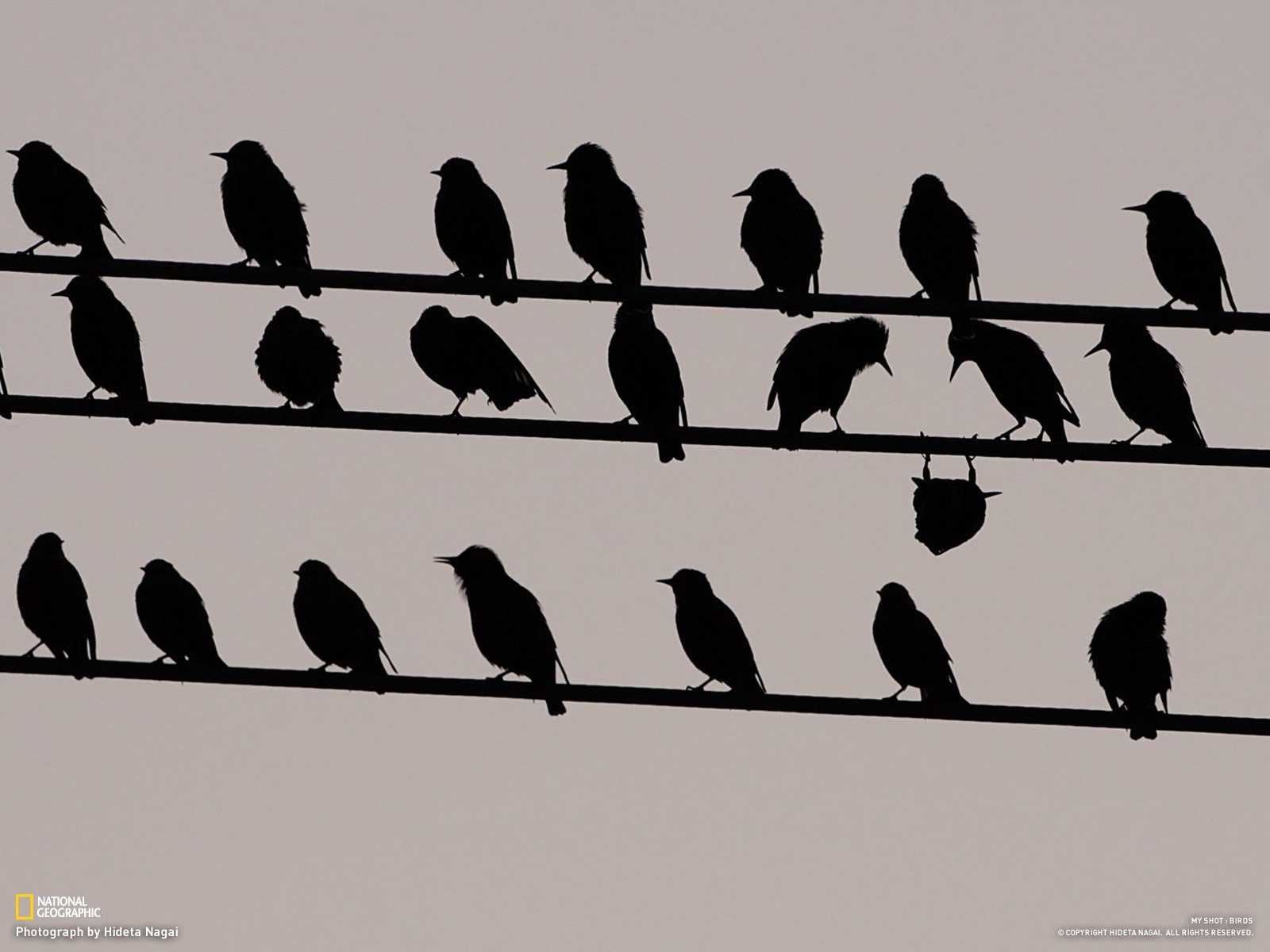 Вам стало легче?