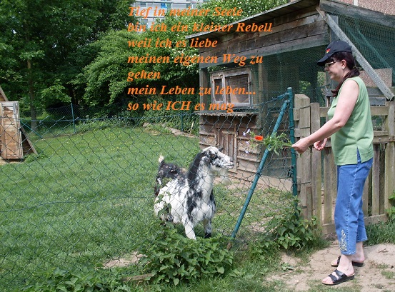 Богатые сердечностью