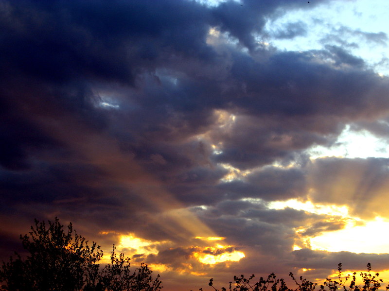 Весь тленный мир живет по плоти