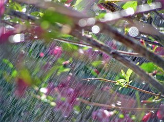 Слепой дождь