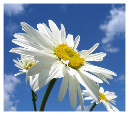 И снова весна