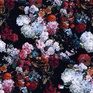 последняя робость