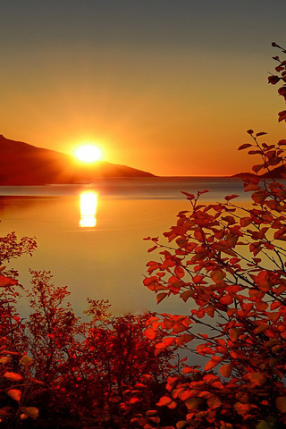 От рассвета до заката