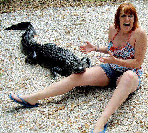 Для тёщи зять первейший враг