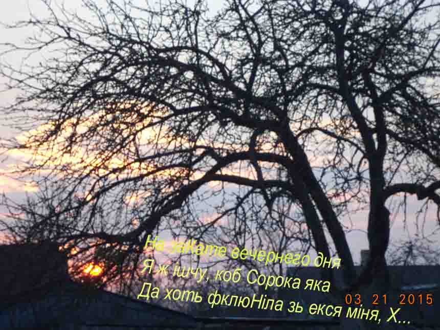 И трэба ж змагатца с аслом