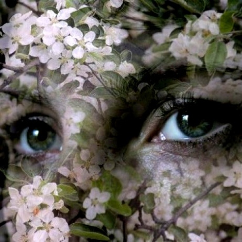 Пробуждения