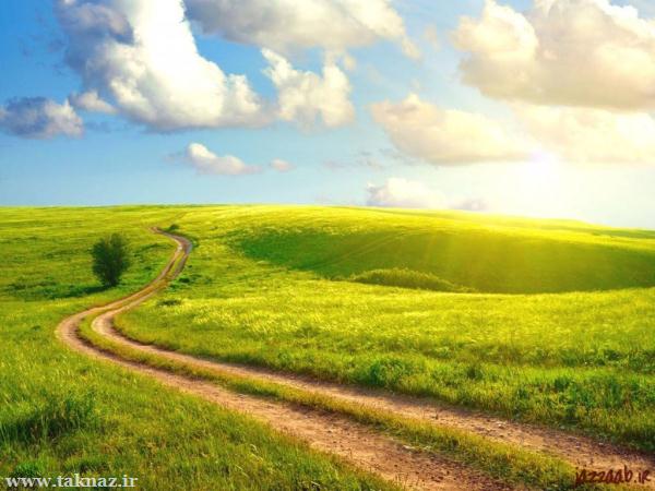 Я за природой наблюдаю