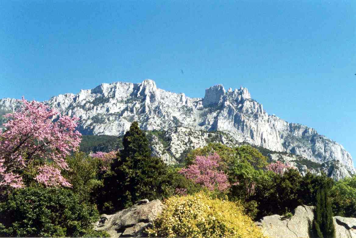 Горы крыма весной