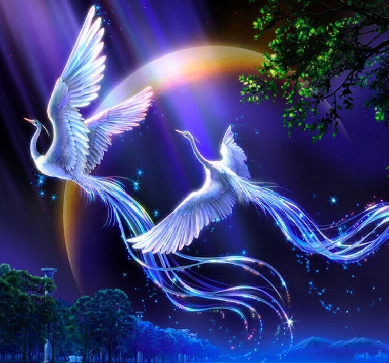 Бессонница