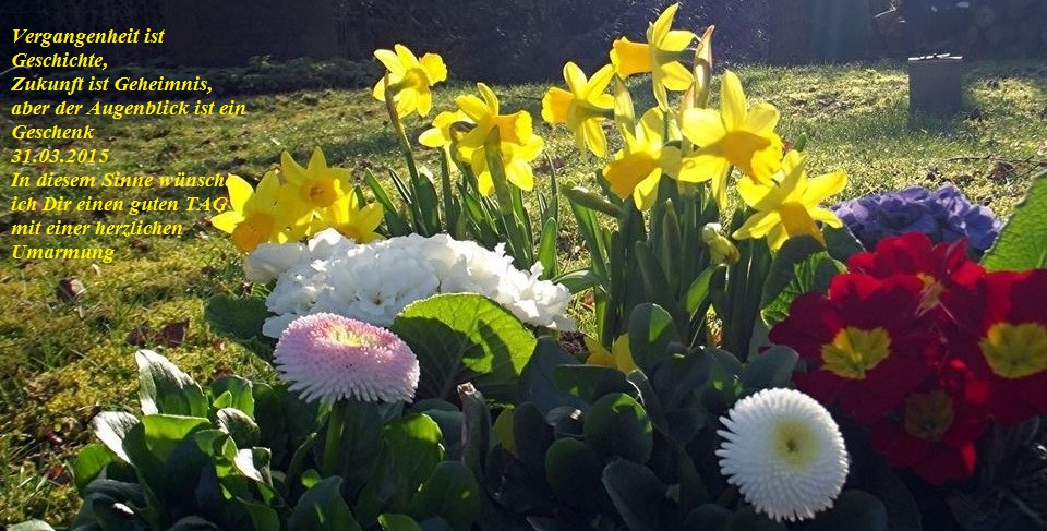 Лёгкое в знаках