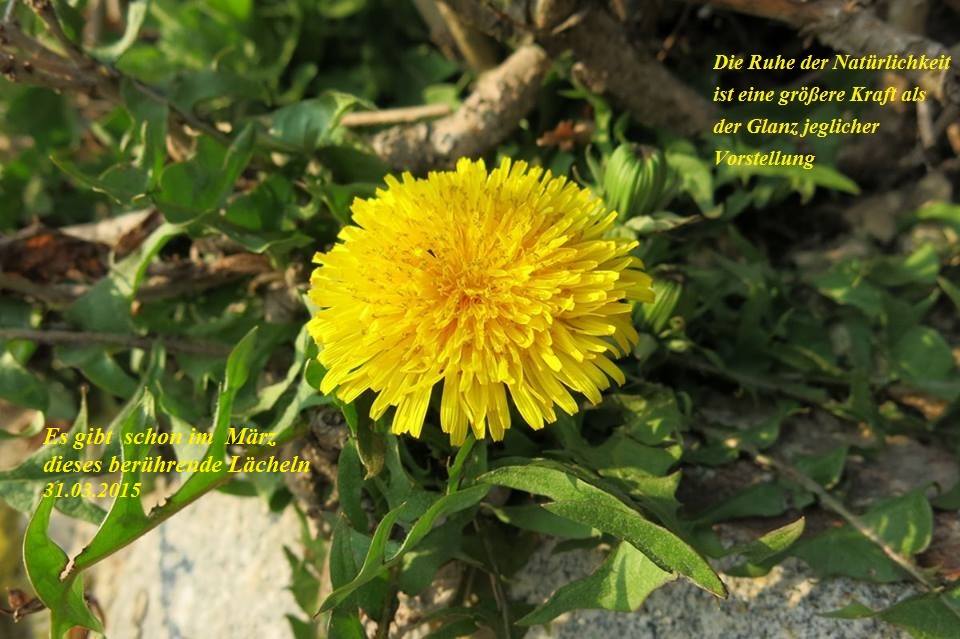 Сердце замерло