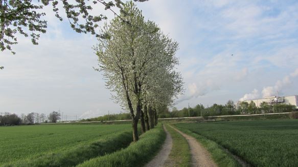 Тишина... взорвётся стон