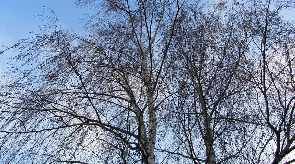 всё отражается на жизни, на земной