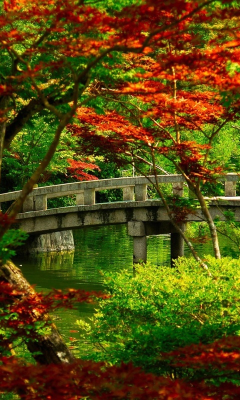 В тревожных красках лета