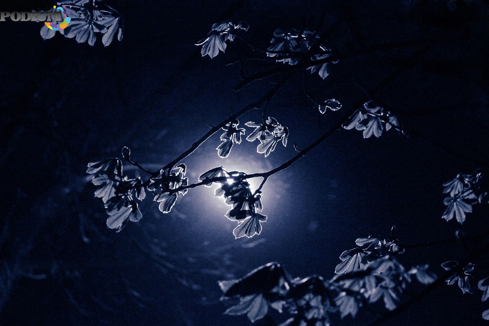 461. Закончилась ночь удивительным сном