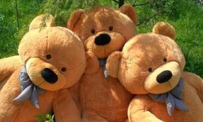 Просто мишек в гости позову