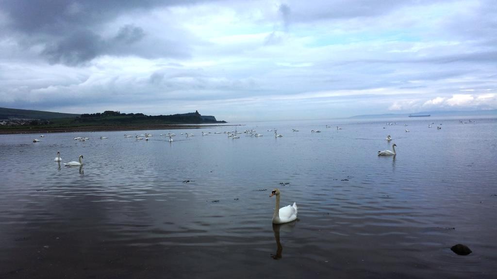 О любви без фальши молодость поет...