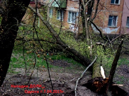 Продолжает звучать