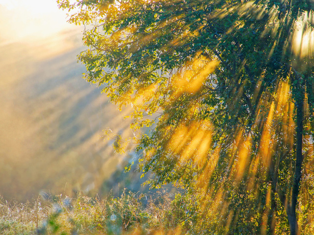 Кто полон в жизни вечной красотой...