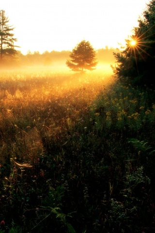 Смысл жизни