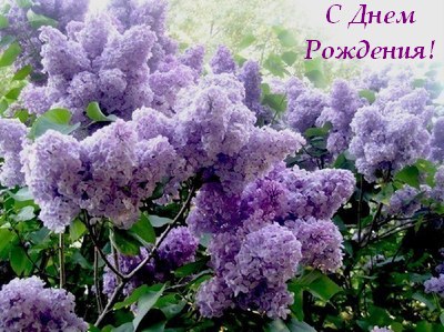Поздравляю с Днем Рожденья