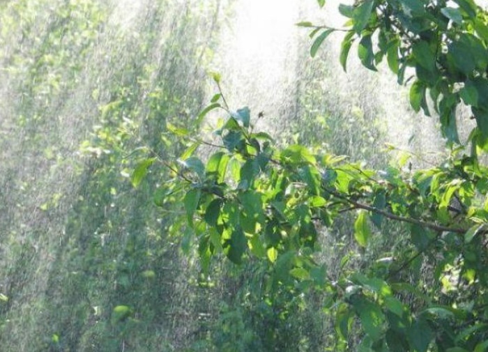 Дождь идет над Россией...