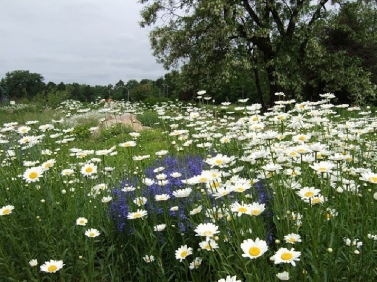 Одно дыхание