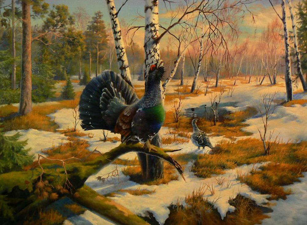 Звон раскованный-плач глухариный