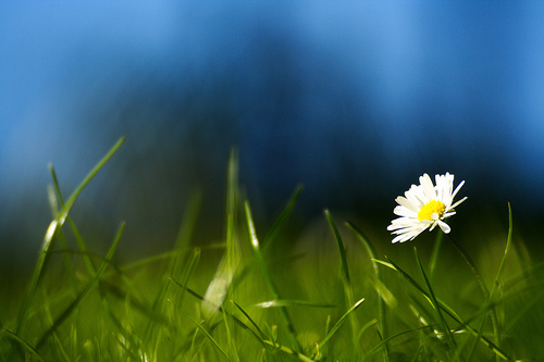 Есть те слова