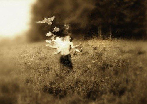 Из разорванной груди