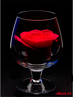 Коктейль любви