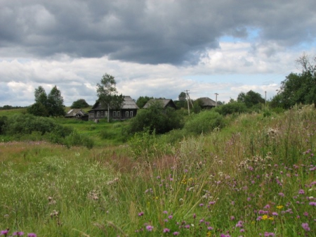 Мне снится сон