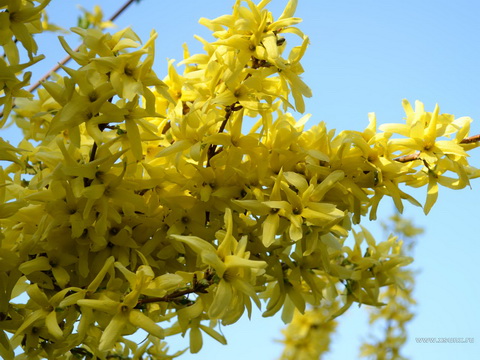 Зарисовка обычного дня