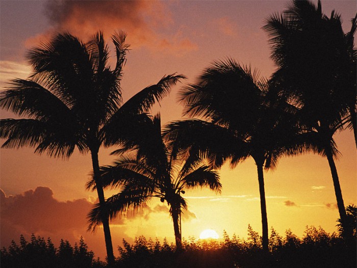 Пролилась утренняя зорька