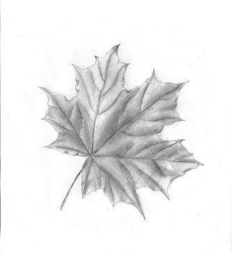 Богаче не стала