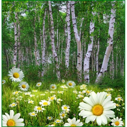 Много досужих домыслов