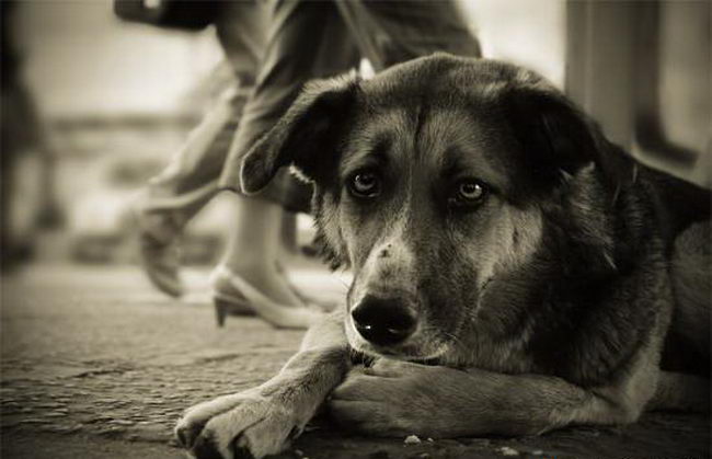 Ты меня спросишь однажды...